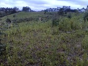 área com 125-2 hectares em pinhão pr